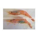 Pink/Brown Shrimp thumbnail-1