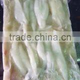 2016 New Arrival Fresh Frozen Illex Squid Roe 400g-600g for Sale From China thumbnail-1