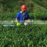 Hedge Trimmer26.2CC/long Pole Hedge Trimmer thumbnail-1