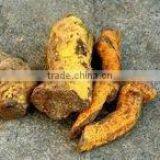 Salacia Dry Extract thumbnail-1