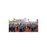 Hand Flag thumbnail-1