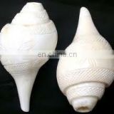 Conch Shell Shankh