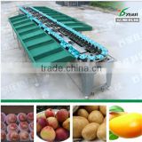Fruit grader type and new condition fruit sorting machine