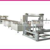 XPS Foamed Board Production Line (TYXPS-135/150)