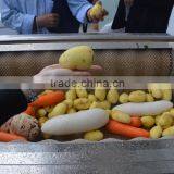 Industrial Automatic Carrot/Taro/ Sweet Potato Peeling Machine With Brush Rollers thumbnail-6