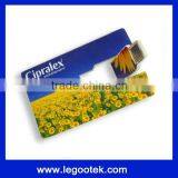 Full Capacity Full Color Print Logo Promotion Item Card Flash Usb Drive