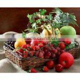 Inkjet Vinyl S/A Glossy thumbnail-1