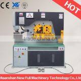 rofessional OEM/ODM Design Advanced hydraulic ironwoker shearing machine