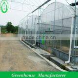 Polycarbonate Sheet Greenhouse