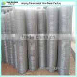 HIgh Quality Galvanized Bird Cage Welded Wire Mesh