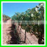 Supply Cheap Price Bird Capture Netting/woven Anti Bird Net/blue Bird Mist Net thumbnail-5