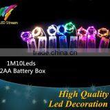 Small Ornament for Christmas 2AA Batteries Operated Led String Lights
