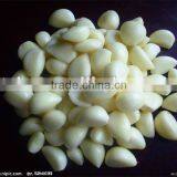 Garlic Type and Liliaceous Vegetabless Product Type Natural Garlic Fresh Garlic thumbnail-5
