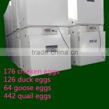 excellent quality and high hatching rate 64 goose eggs