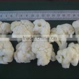 IQF FROZEN CAULIFLOWER FLORETS GOOD QUALITY FOR RUSSIA