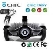 High Speed Two Wheel CHIC FAIRY Three Wheel Stand up Electric Scooter