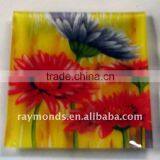 Glass Plate for Kitchen thumbnail-1