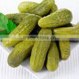Viet Nam Pickled Cucumber in Jar thumbnail-3