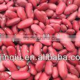 2015 Crop Kidney Bean thumbnail-6