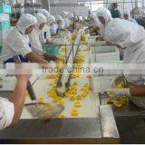 Hot Sale New Season Canned Yellow Peach thumbnail-4