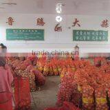 2015 Fresh Red and Yellow Onions With Lowest Price thumbnail-3