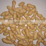 Super Red Skin Peanut thumbnail-1