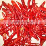 SPICY CHILI FROM INDIA thumbnail-1