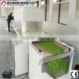Oregano Processing Machines/Stainless Steel Oregano Drying Machine/Microwave Drying Machine thumbnail-1