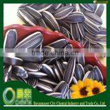 Hot Sell Round Shape Black/White 2015 Sunflower Seeds Crop