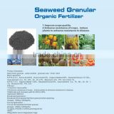 Shining Organic Fertilizer Liquid Fertilizer