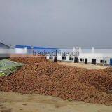 Zhengzhou Sida Full Automatic Stainless Steel Yam Flour Processing Machine With Low Price thumbnail-4