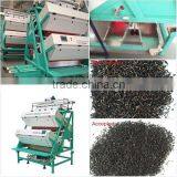 HONS+ BLACK / GREEN TEA COLOR SORTING MACHINE thumbnail-2