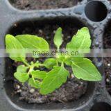 32 Cell, 200 Cell Biodegradable Seed Cell Propagation Plug Tray thumbnail-1