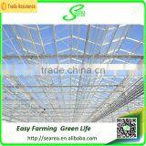 Quickly Delivery Structure Greenhouse for Sale Green House thumbnail-2