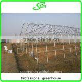 Plastic Film Cover Steel Frame Used Greenhouse thumbnail-2