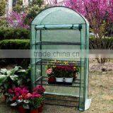 4 Tier Calotte Garden Greenhouse thumbnail-1