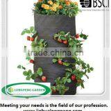 Garden Plants Bag,Tomatoes Plant Bag , Peppers, Herbs and Potatoes Growing Bag thumbnail-4