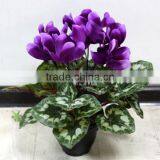 SJ300917 Artificial Bonsai Plant Flower thumbnail-4