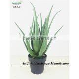 SAS201607 Artificial Green Plant for Indoor Decoration thumbnail-4