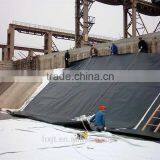 High Quality Seepage Proofing Waterproofing Geomembrane Price thumbnail-2