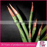 Cheap Artificial Succulent Plants Artificial Tropical Plant thumbnail-2