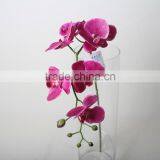 Plastic Butterfly Orchid Artificial Butterfly Orchid Decorative Flowers for Promotion thumbnail-2