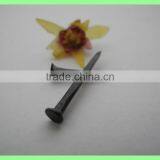 Blue Tack Nails for Sofa thumbnail-3