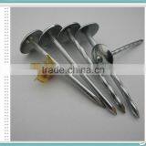 Umbrella Head Roofing Nail of 50kg Gunny Bag thumbnail-6