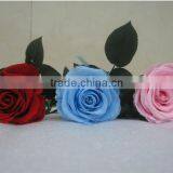 Beautiful Cheapest Decoration Flower Preserved Flower With Long Stem thumbnail-5