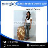 Widely Selling, Fiberglass Made Flower Planters for Home Decore thumbnail-2