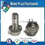 Made In Taiwan Flange Bolt thumbnail-2