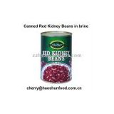 Canned red kidney bean in brine from factory directly