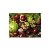 Semen Aesculi Extract thumbnail-1