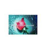 LED Pitch 16mm Outdoor Display